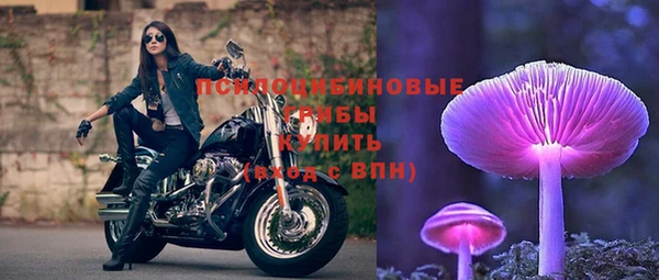 2c-b Карпинск